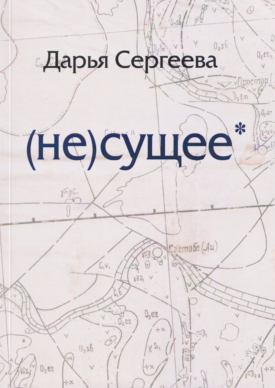 Обложка книги "Дарья Сергеева: не(сущее)"
