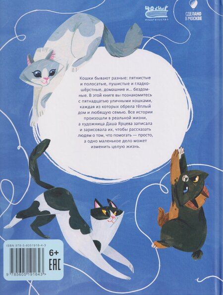 Фотография книги "Дарья Ярцева: Кошачье досье"