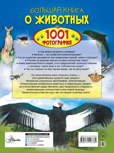 Фотография книги "Дарья Ермакович: Большая книга о животных. 1001 фотография"