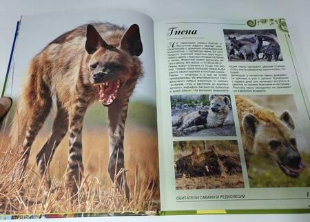 Фотография книги "Дарья Ермакович: Большая книга о животных. 1001 фотография"