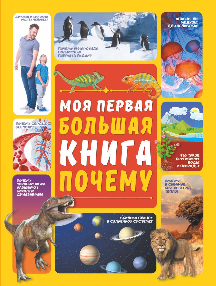 Обложка книги "Дарья Ермакович: Моя первая большая книга ПОЧЕМУ"
