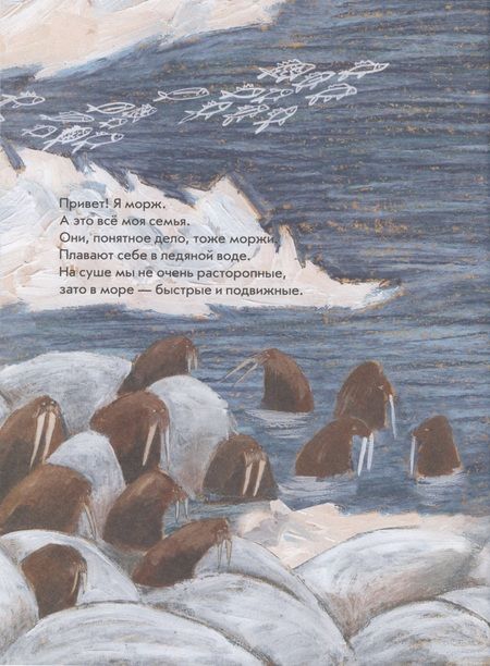 Фотография книги "Даша Димитрова: Морж как морж, ничего особенного"