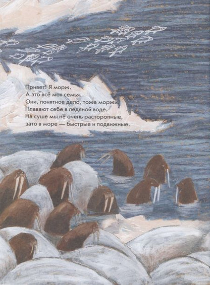 Фотография книги "Даша Димитрова: Морж как морж, ничего особенного"