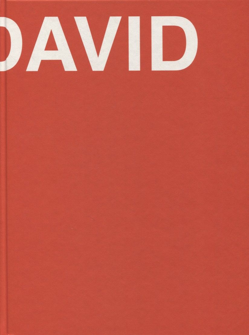 Обложка книги "David. The Life of David Ashotovich Sarkisyan"