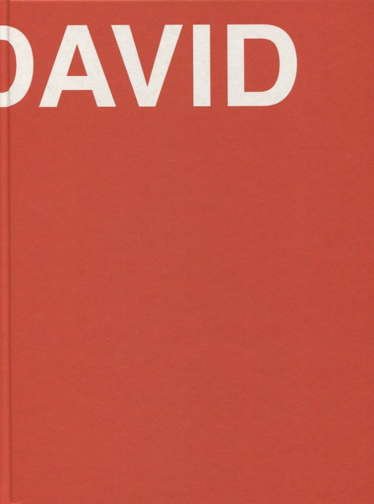 Обложка книги "David. The Life of David Ashotovich Sarkisyan"