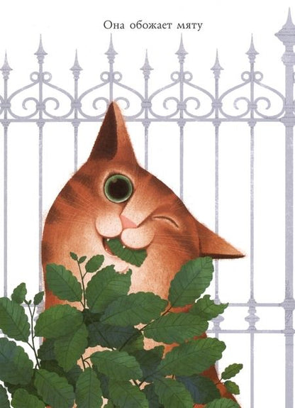 Фотография книги "Давид Кали: Я ненавижу своих котов (История любви)"