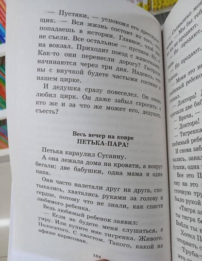 Фотография книги "Давыдычев: Жизнь и страдания Ивана Семёнова, второклассника"