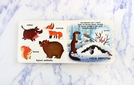 Фотография книги "Де: Животные. Узнай, играй, крути, толкай"