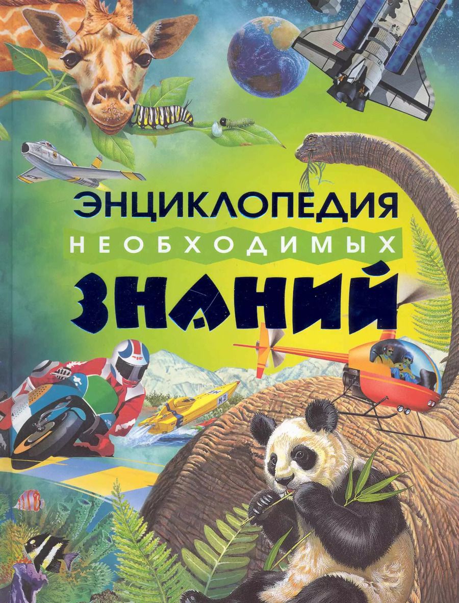 Обложка книги "Дебора Чанселлор: Энциклопедия необходимых знаний"