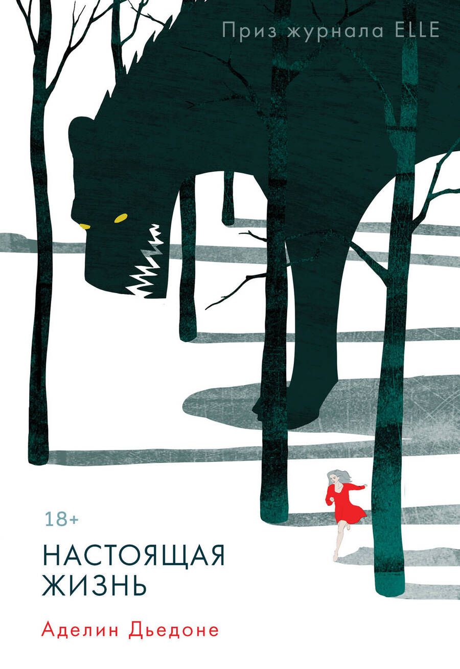Обложка книги "Дьедоне: Настоящая жизнь"