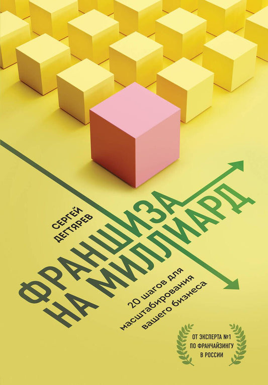 Обложка книги "Дегтярев: Франшиза на миллиард. 20 шагов для масштабирования вашего бизнеса"