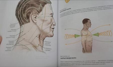 Фотография книги "Дэйл: Тонкое тело. Полная энциклопедия биоэнергетической медицины"