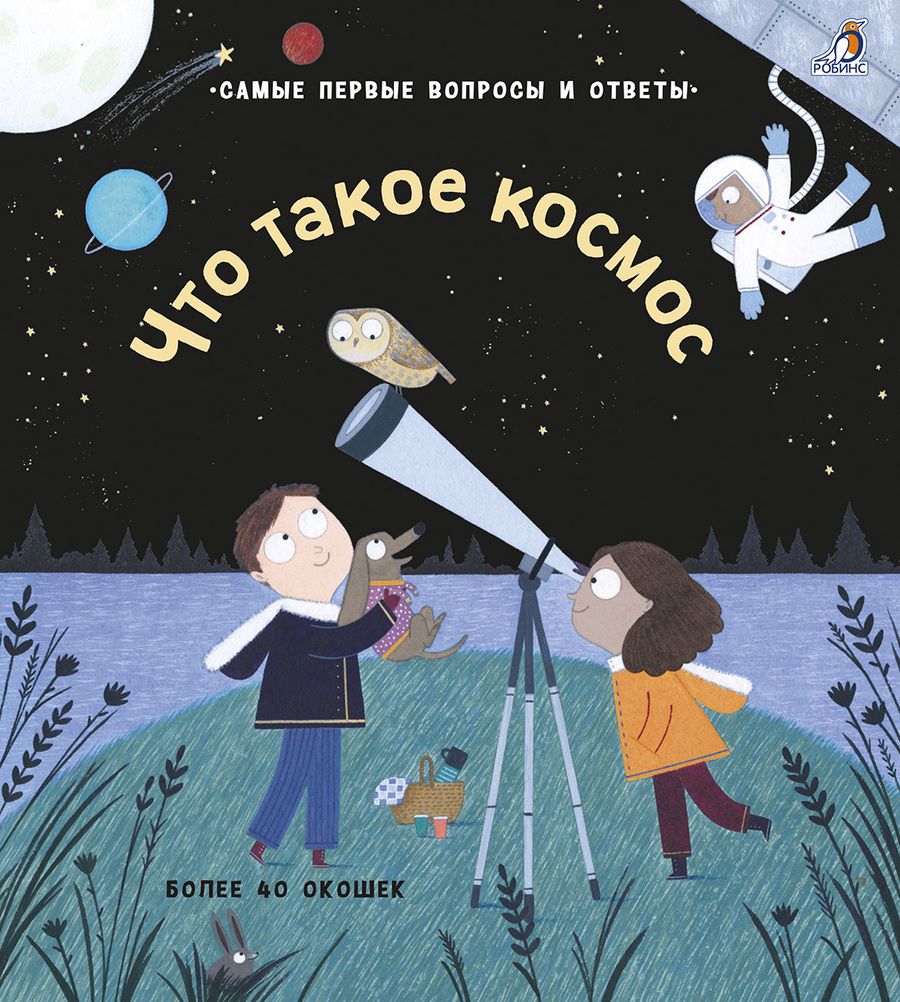 Обложка книги "Дэйнс: Что такое космос"