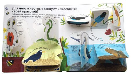 Фотография книги "Дэйнс: Как говорят животные"