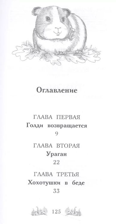Фотография книги "Дейзи Медоус: Морская свинка Рози, или Тайна ветра"