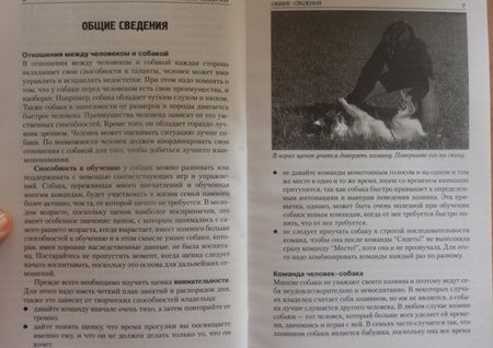Фотография книги "Дель: 100 игр и упражнений для вашей собаки"