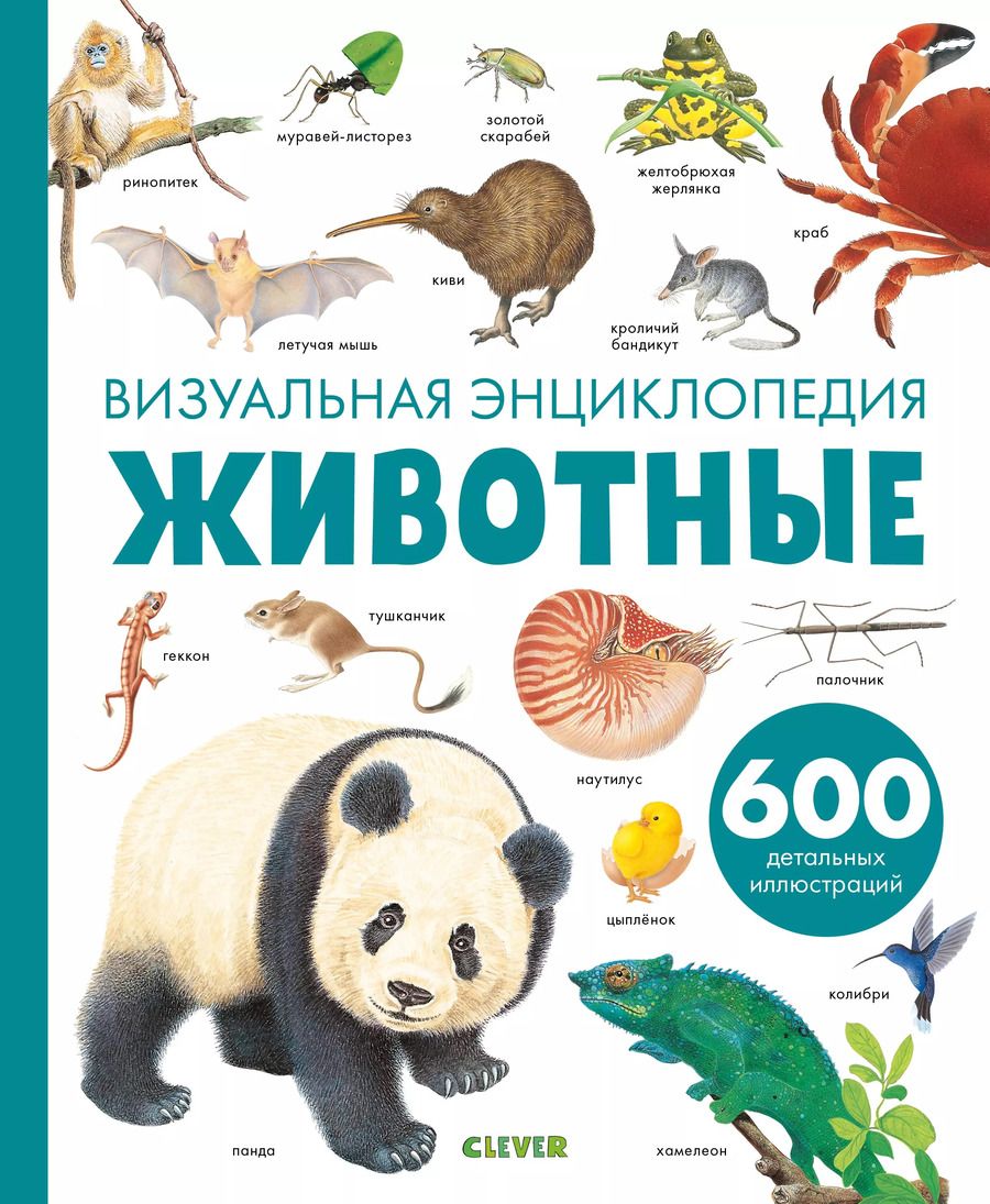 Обложка книги "Дельфин Гравье-Бадреддин: Животные. Визуальная энциклопедия"