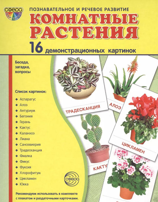 Обложка книги "Дем. картинки СУПЕР Комнатные растения.16 демонстр.картинок с текстом (173х220мм)"