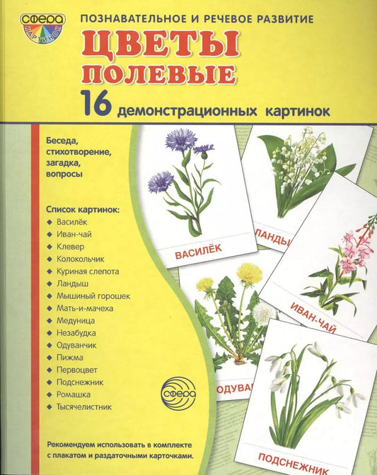 Обложка книги "Дем. картинки СУПЕР Цветы полевые.16 демонстр.картинок с текстом(173х220мм)"