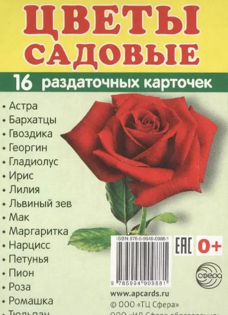 Обложка книги "Дем. картинки СУПЕР Цветы садовые. 16 раздаточных карточек с текстом (63х87 мм)"