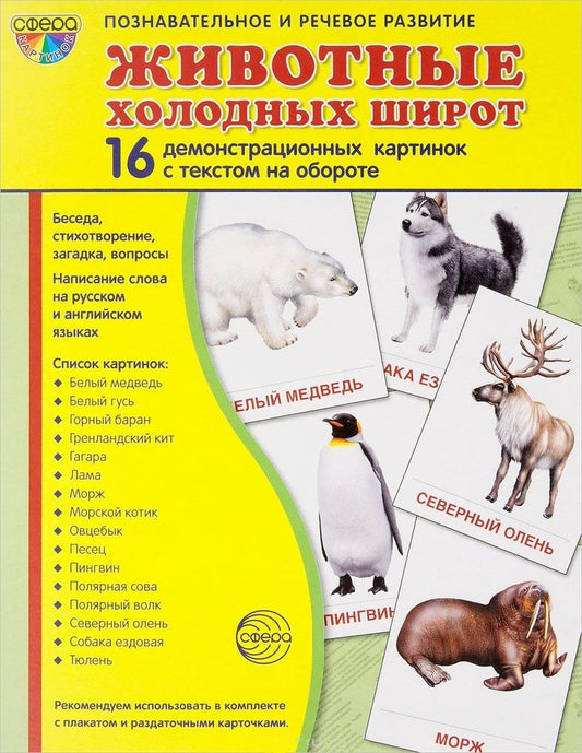 Обложка книги ": Дем. картинки СУПЕР Животные холодных широт.16 демонстр.картинок с текстом(173х220мм)"