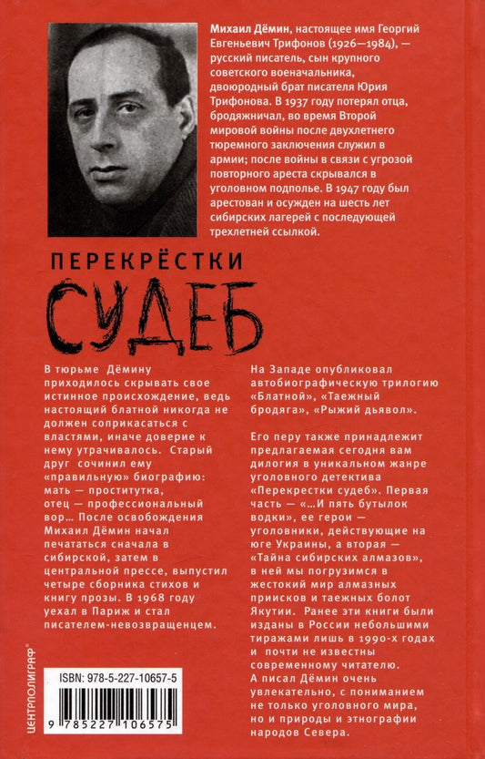 Обложка книги "Демин: Перекрестки судеб"