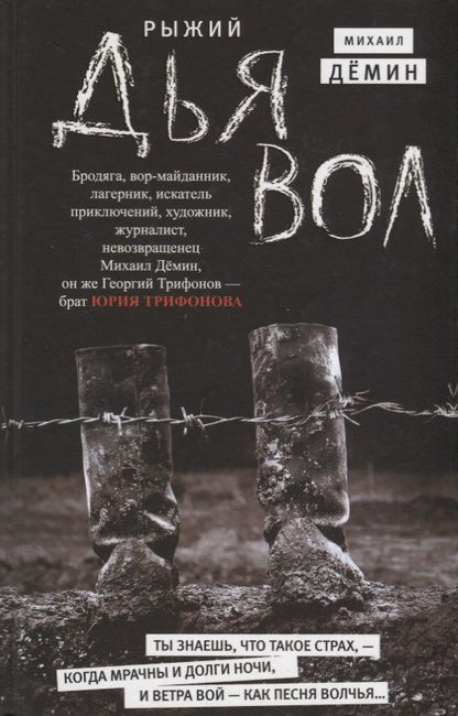Обложка книги "Демин: Рыжий дьявол"