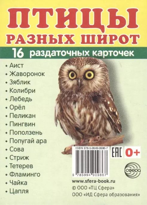 Обложка книги "Демонстрационные картинки СУПЕР Птицы разных широт.16 раздаточных карточек с текстом (63х87 мм)"
