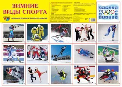 Обложка книги "Демонстрационный плакат "Зимние виды спорта" (А2)"
