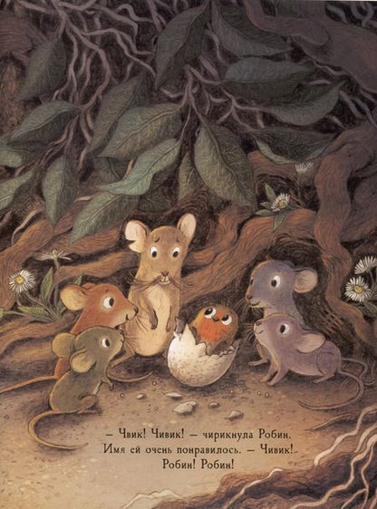 Фотография книги "Дэн Оджари: Робин"