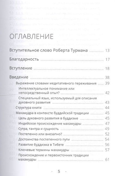 Фотография книги "Дэниел Браун: Указывая великий путь. Махамудра: этапы медитации"