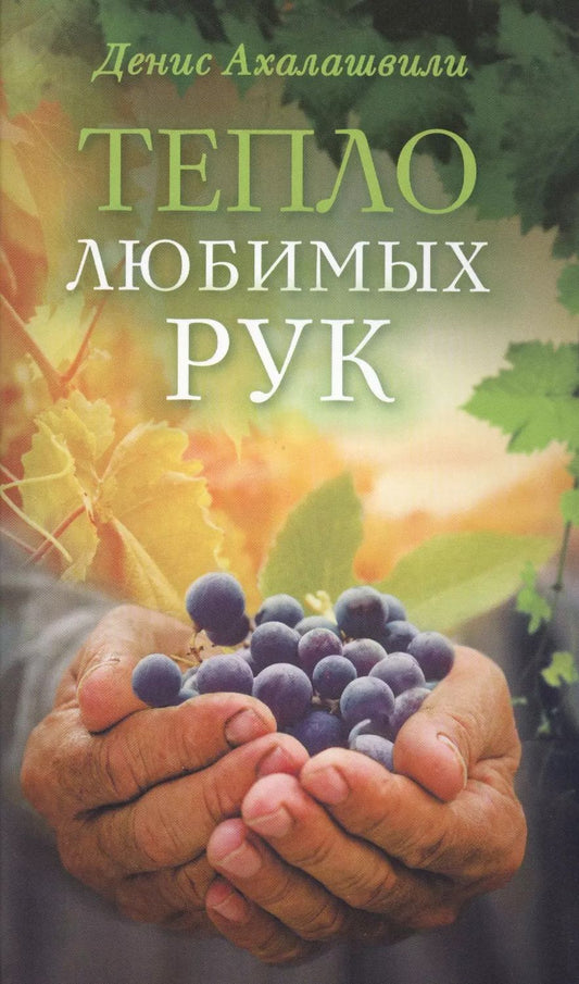 Обложка книги "Денис Ахалашвили: Тепло любимых рук"