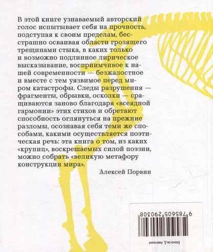 Фотография книги "Денис Безносов: Амехания"