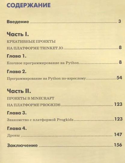 Фотография книги "Денис Голиков: Python для юных программистов"