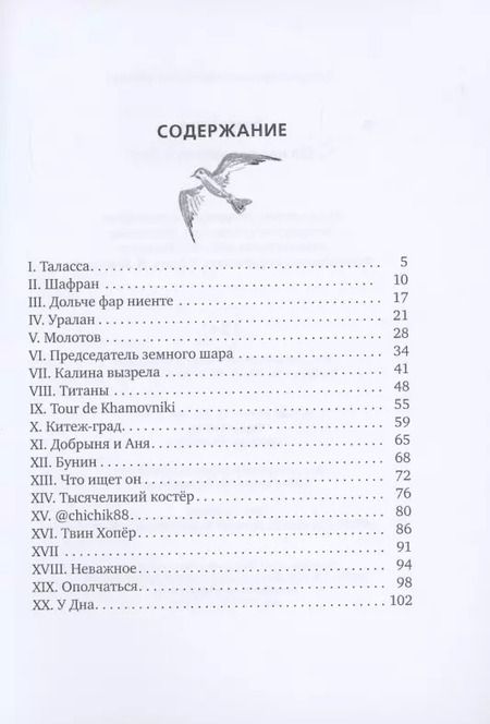 Фотография книги "Денис Гусев: По направлению к дну"