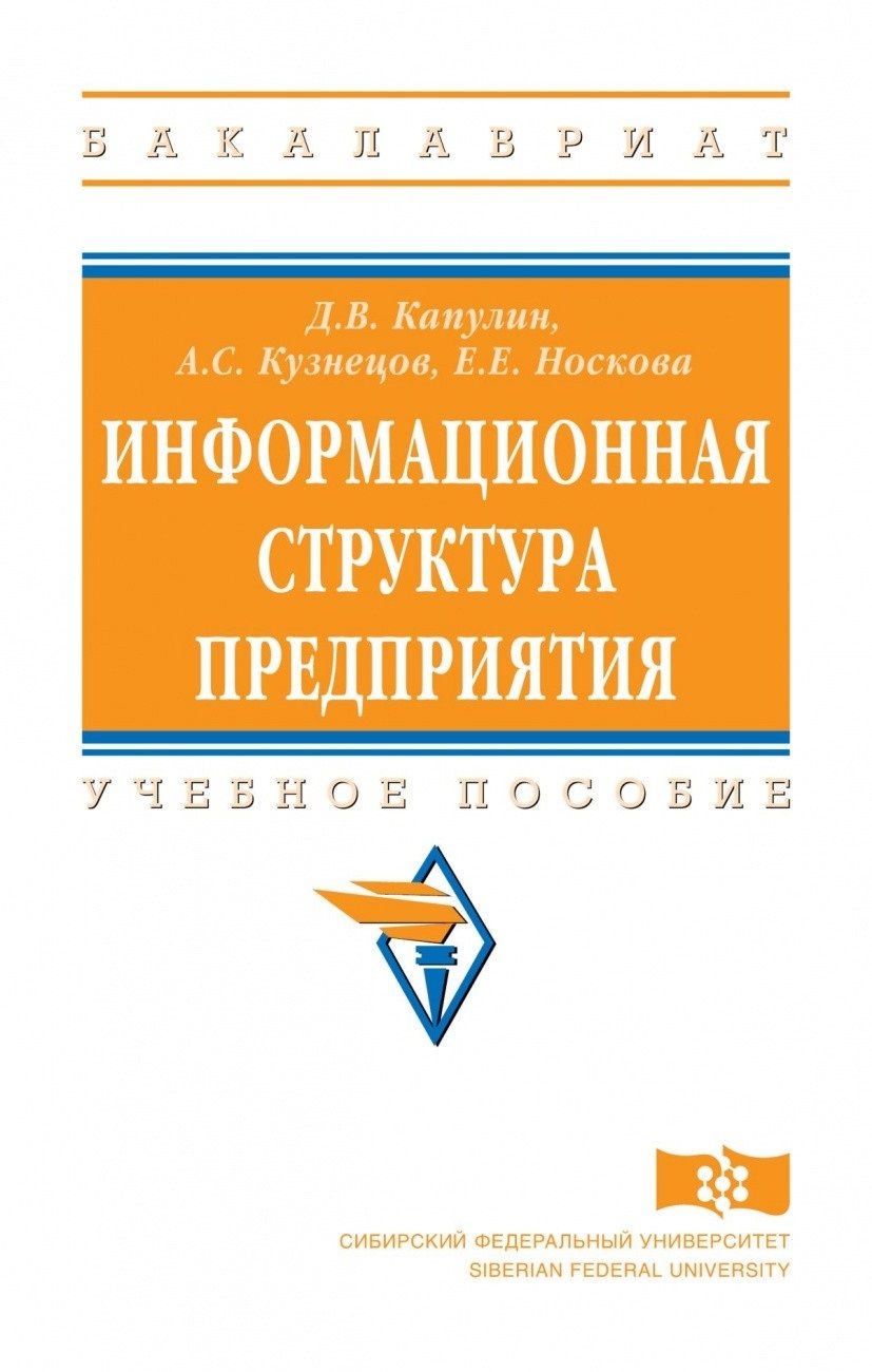 Обложка книги "Денис Капулин: Информационная структура предприятия"