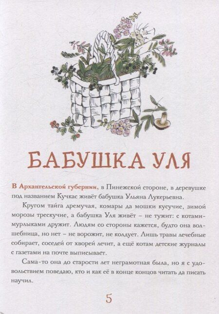 Фотография книги "Денис Макурин: Изба-читальня"