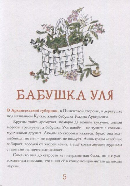 Фотография книги "Денис Макурин: Изба-читальня"