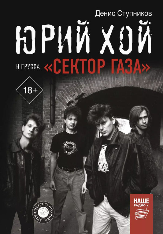 Обложка книги "Денис Ступников: Юрий Хой и группа "Сектор Газа""