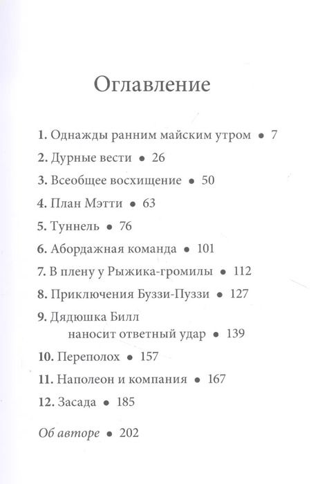 Фотография книги "Дeнис В.В.: Билл Барсук и пираты"