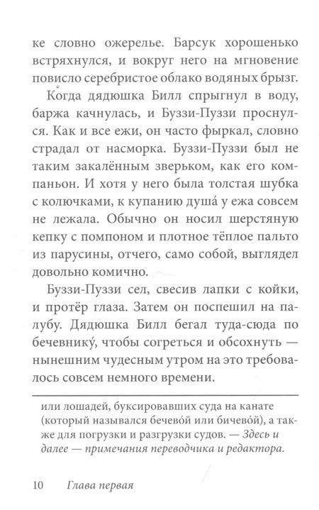 Фотография книги "Дeнис В.В.: Билл Барсук и пираты"