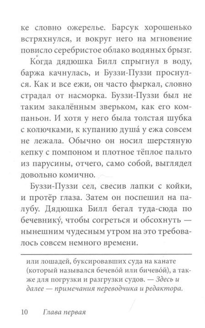 Фотография книги "Дeнис В.В.: Билл Барсук и пираты"