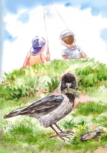 Фотография книги "Денисова: Варакушка"