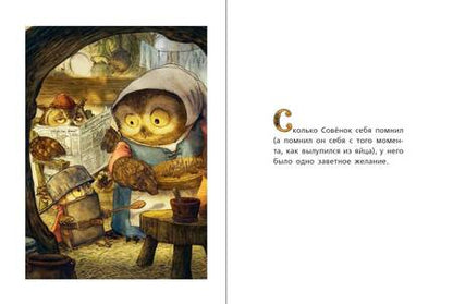 Фотография книги "Дениз: Самый храбрый совенок"