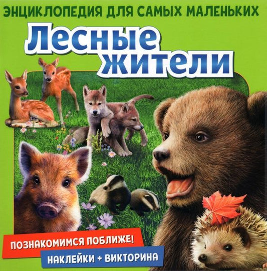 Обложка книги "Денс, Пухола: Познакомимся поближе! Лесные жители"