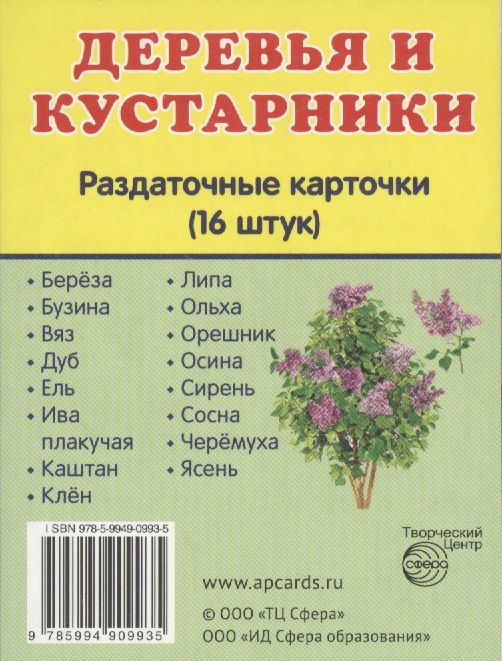 Обложка книги "Деревья и кустарники. 16 раздаточных карточек с текстом"