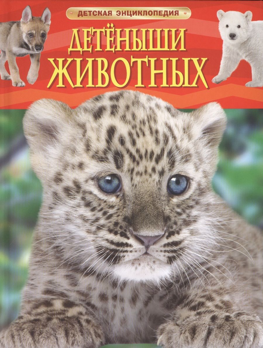 Обложка книги "Детеныши животных. Детская энциклопедия. Пер. с англ."