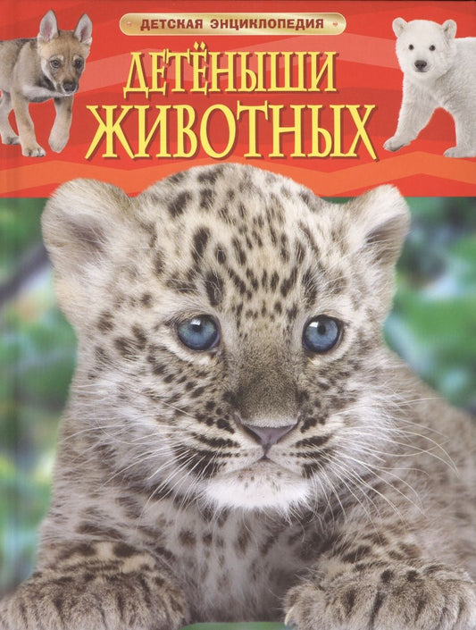 Обложка книги "Детеныши животных. Детская энциклопедия. Пер. с англ."