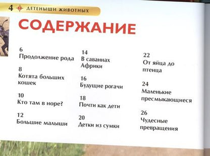 Фотография книги "Детеныши животных. Детская энциклопедия. Пер. с англ."