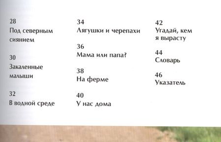 Фотография книги "Детеныши животных. Детская энциклопедия. Пер. с англ."